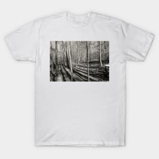 Long Shadows in the Forest T-Shirt